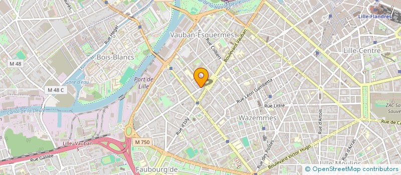 localisation de l'entreprise MONSIEUR M'BERE GODWIN KODJO  LILLE