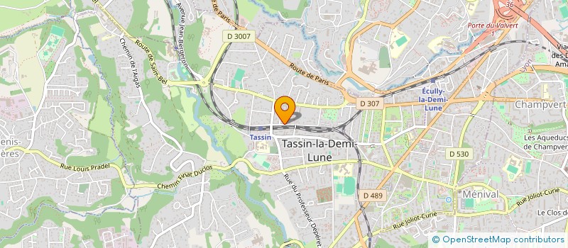 localisation de l'entreprise MONSIEUR M'HAMED BOUQFA  TASSIN-LA-DEMI-LUNE