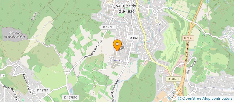 localisation de l'entreprise MONSIEUR M HAMMED BEN HAMMOU  SAINT-GELY-DU-FESC