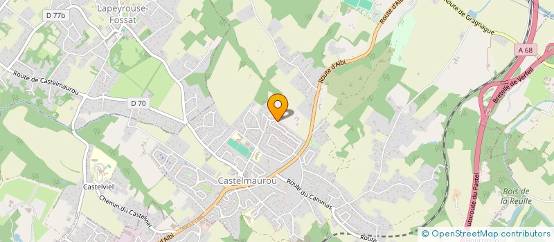 localisation de l'entreprise MONSIEUR M RCIO ANDRE CASTRO TEIXEIRA  CASTELMAUROU