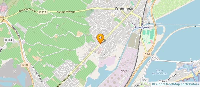 localisation de l'entreprise MONSIEUR MADIOR DIALLO à FRONTIGNAN