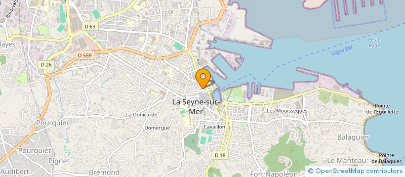localisation de l'entreprise MONSIEUR MADJID BELFEUZAL à LA SEYNE-SUR-MER