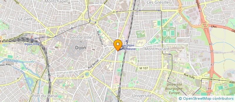 localisation de l'entreprise MONSIEUR MADY DIAKITE  DIJON