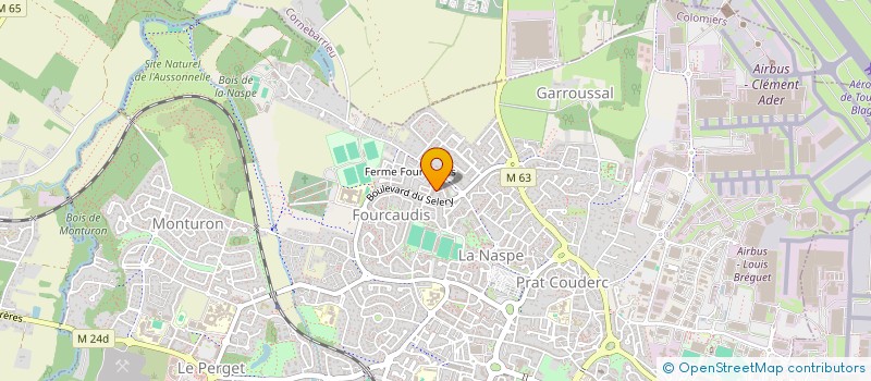 localisation de l'entreprise MONSIEUR MAEL CODIS--FALZON à COLOMIERS