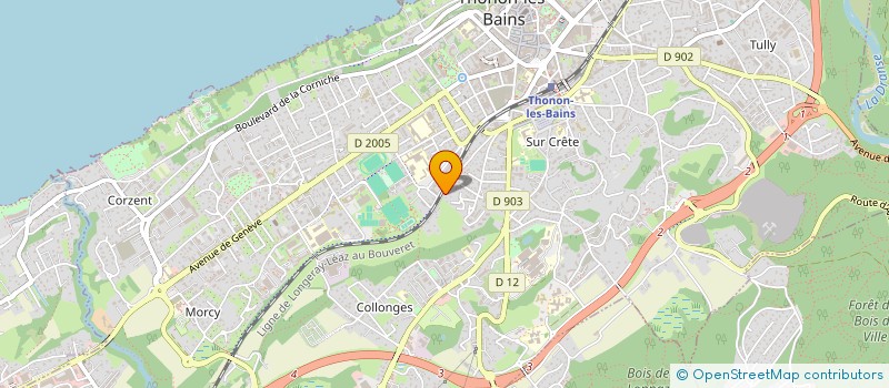 localisation de l'entreprise MONSIEUR MAEL IDIRI à THONON-LES-BAINS