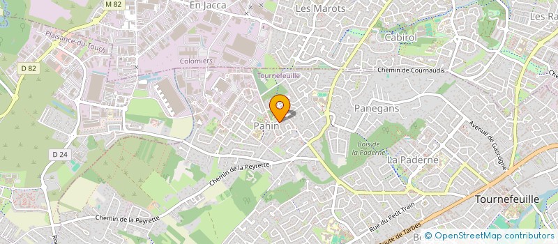 localisation de l'entreprise MONSIEUR MAEL REGIS  TOURNEFEUILLE