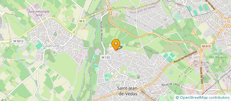 localisation de l'entreprise MONSIEUR MAELAN GUILLONNET à SAINT-JEAN-DE-VEDAS