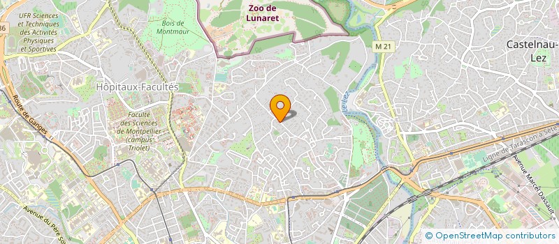 localisation de l'entreprise MONSIEUR MAGALIE RIBLET à MONTPELLIER