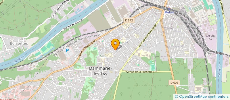 localisation de l'entreprise MONSIEUR MAHAMAD ABDU à DAMMARIE-LES-LYS