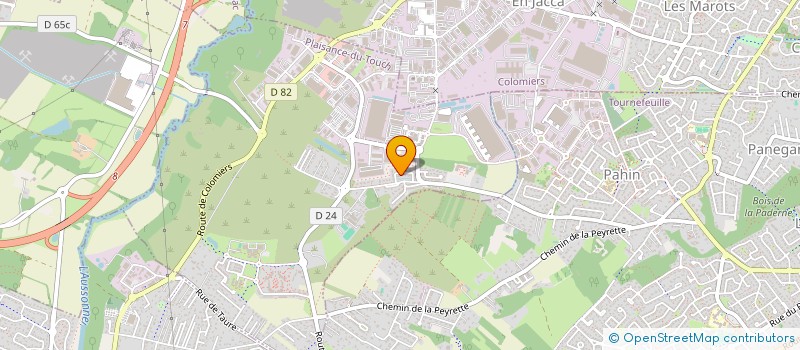 localisation de l'entreprise MONSIEUR MAHAMADOU SYLLA  PLAISANCE-DU-TOUCH