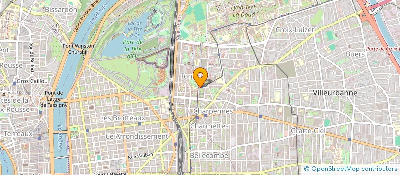 localisation de l'entreprise MONSIEUR MAHDI SAIDI  VILLEURBANNE