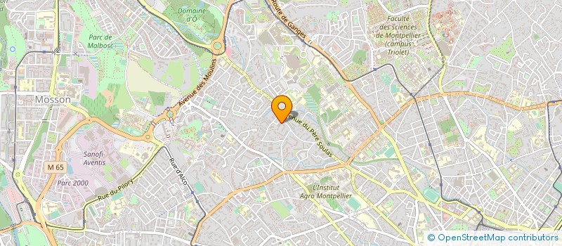 localisation de l'entreprise MONSIEUR MAHFOUD HACHEMI à MONTPELLIER