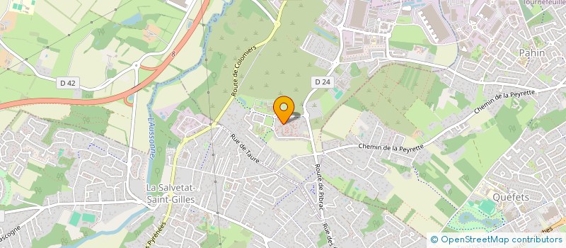 localisation de l'entreprise MONSIEUR MAHFOUD ZEBBAR  PLAISANCE-DU-TOUCH