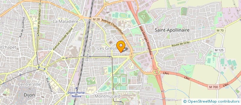 localisation de l'entreprise MONSIEUR MAHFOUDH ZERKOUNE à DIJON