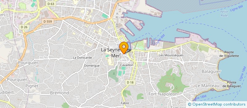 localisation de l'entreprise MONSIEUR MAHIR PASALIOGLU à LA SEYNE-SUR-MER