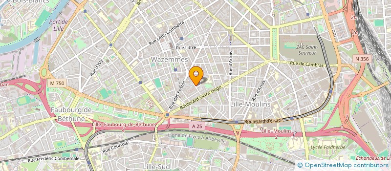 localisation de l'entreprise MONSIEUR MAHMOOD STANIKZAI à LILLE