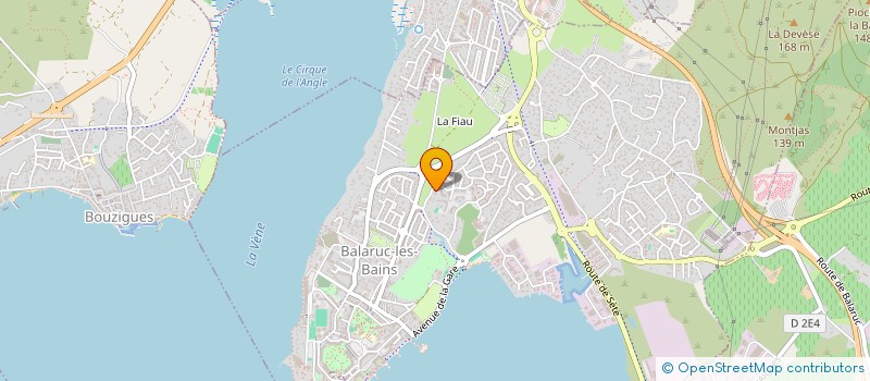 localisation de l'entreprise MONSIEUR MAICHAEL JANUARIO RODRIGUES  BALARUC-LES-BAINS