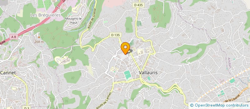 localisation de l'entreprise MONSIEUR MAJDI BEN BRAHIM à VALLAURIS