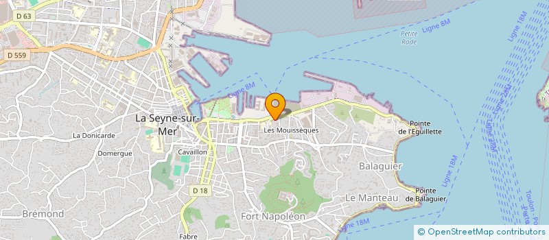 localisation de l'entreprise MONSIEUR MAJDI MILADI  LA SEYNE SUR MER