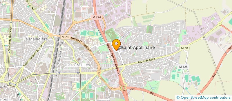 localisation de l'entreprise MONSIEUR MAJID LAROUSSI ROBIO  SAINT-APOLLINAIRE