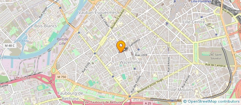 localisation de l'entreprise MONSIEUR MALGAWENNIN ERVAN OUEDRAOGO à LILLE