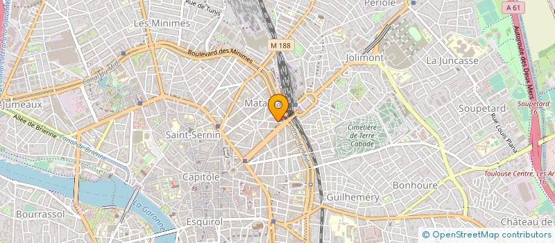 localisation de l'entreprise MONSIEUR MALICK DIAGNE à TOULOUSE