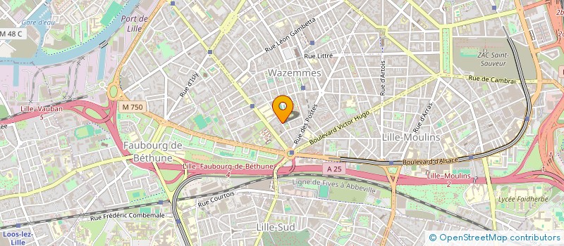 localisation de l'entreprise MONSIEUR MALICK SECK à LILLE