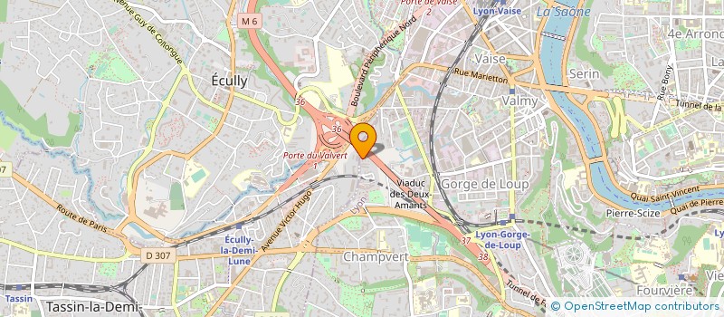 localisation de l'entreprise MONSIEUR MALIK LEONARSKI  LYON