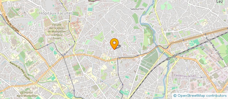 localisation de l'entreprise MONSIEUR MALIK MARKOVIC à MONTPELLIER