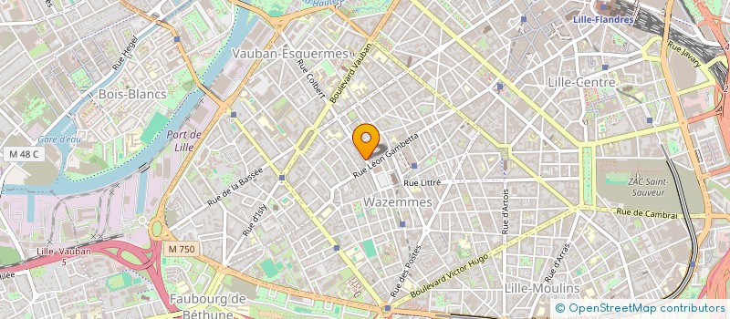 localisation de l'entreprise MONSIEUR MAMADOU BARRY  LILLE