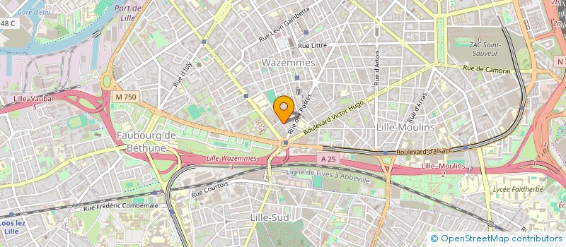 localisation de l'entreprise MONSIEUR MAMADOU DIALLO à LILLE