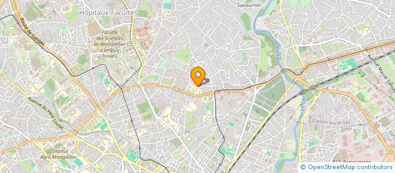 localisation de l'entreprise MONSIEUR MAMADOU DIALLO à MONTPELLIER
