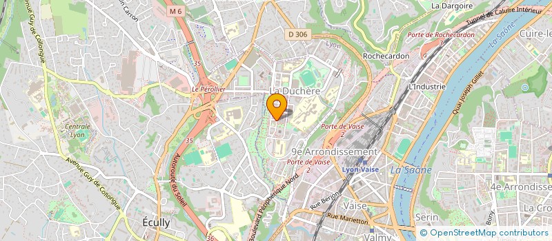 localisation de l'entreprise MONSIEUR MAMADOU DIAN BAH  LYON