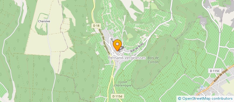 localisation de l'entreprise MONSIEUR MAMADOU DIANE  PERNAND-VERGELESSES