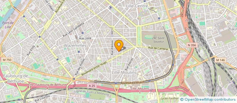 localisation de l'entreprise MONSIEUR MAMADOU DRAME à LILLE