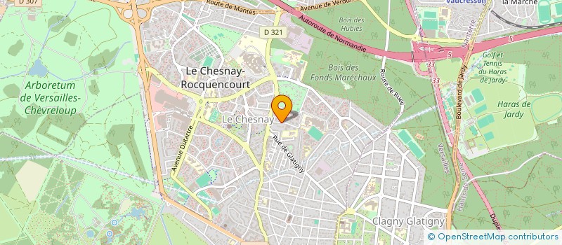 localisation de l'entreprise MONSIEUR MAMADOU-SALILOU DIALLO  LE CHESNAY-ROCQUENCOURT