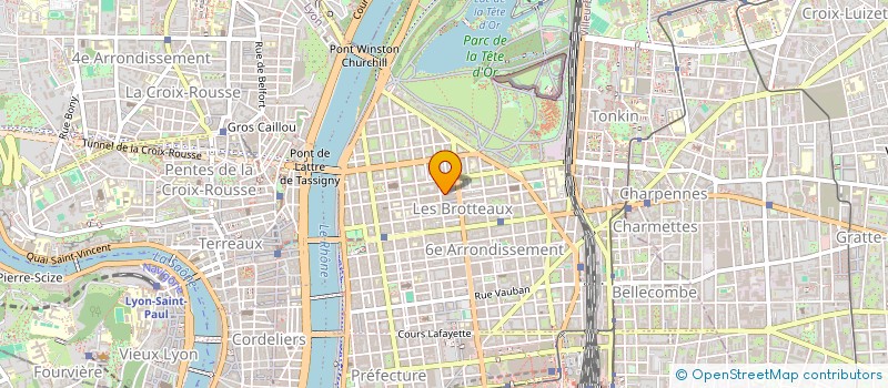 localisation de l'entreprise MONSIEUR MANH-HAI NGUYEN  LYON