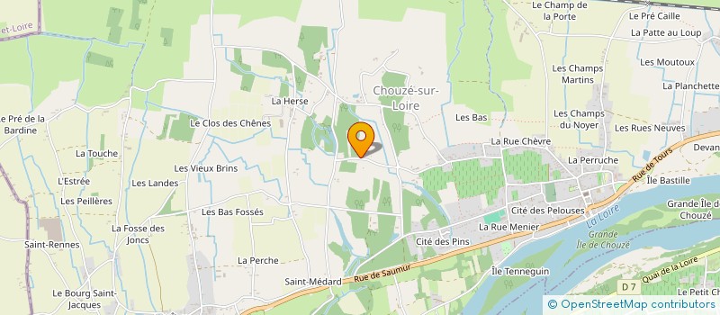 localisation de l'entreprise MONSIEUR MANSON ROBIN  CHOUZE-SUR-LOIRE