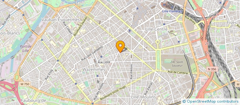 localisation de l'entreprise MONSIEUR MANSOR DIENE à LILLE