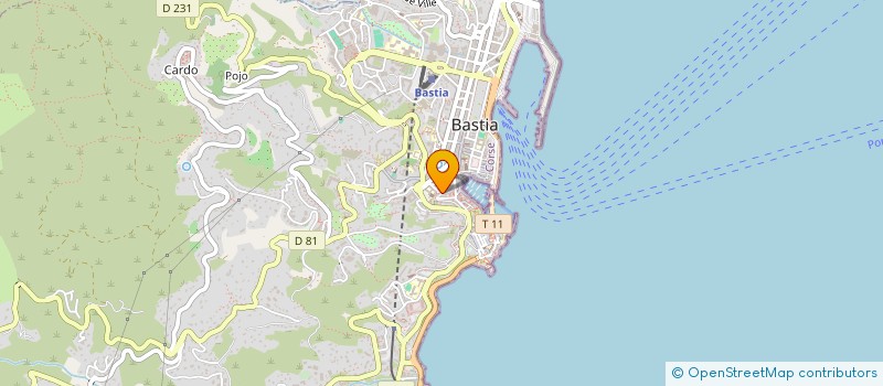 localisation de l'entreprise MONSIEUR MANSOUR SAAD CHAOUCH  BASTIA