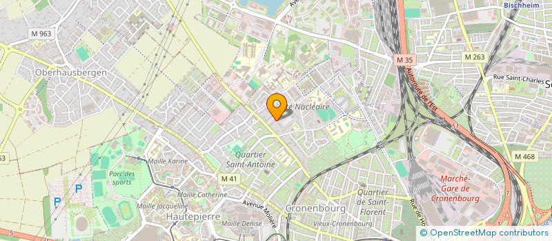 localisation de l'entreprise MONSIEUR MANSOUR SAYDOULAEV à STRASBOURG