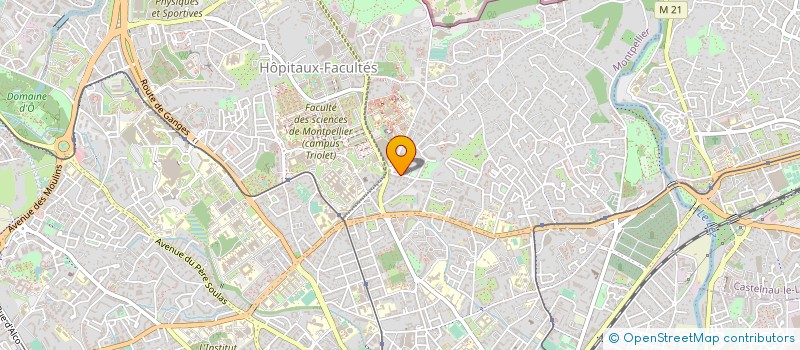 localisation de l'entreprise MONSIEUR MANUARII TAHUTINI à MONTPELLIER