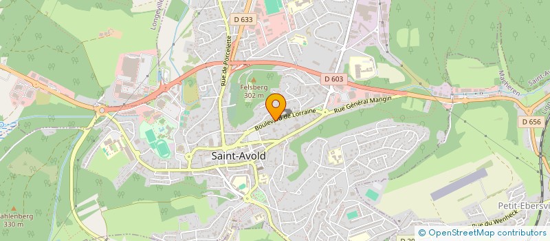 localisation de l'entreprise MONSIEUR MANUEL BERSWEILER  SAINT-AVOLD