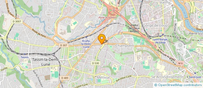 localisation de l'entreprise MONSIEUR MANUEL CARRERO NAVARRO  TASSIN-LA-DEMI-LUNE