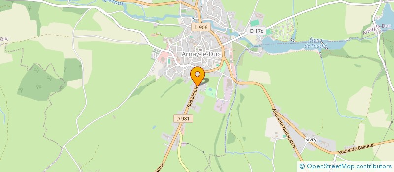 localisation de l'entreprise MONSIEUR MANUEL DA SILVA SUARES  ARNAY-LE-DUC