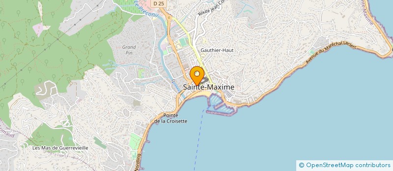 localisation de l'entreprise MONSIEUR MANUEL DE OLIVEIRA DA SILVA à SAINTE-MAXIME