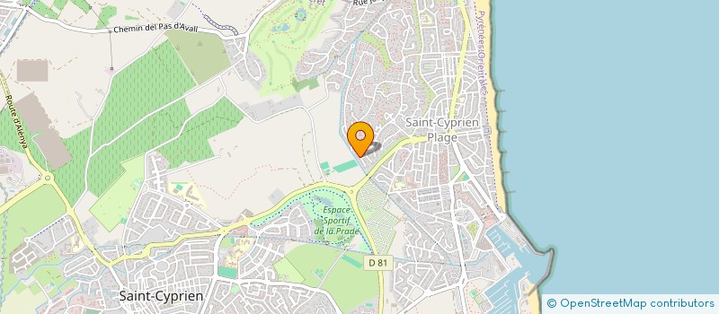 localisation de l'entreprise MONSIEUR MANUEL DIAS GONCALVES  SAINT-CYPRIEN