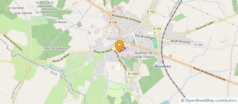 localisation de l'entreprise MONSIEUR MANUEL DOSSER  MONTENDRE