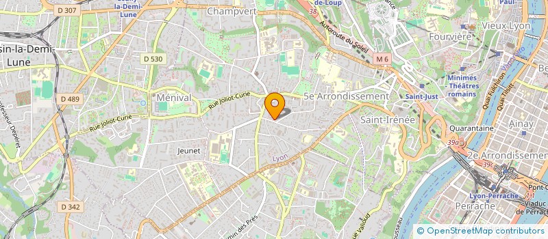 localisation de l'entreprise MONSIEUR MANUEL GESTER à LYON