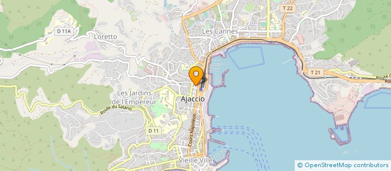 localisation de l'entreprise MONSIEUR MANUEL GOMES LOPES DA SILVA à AJACCIO